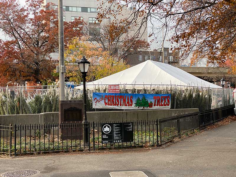 Christmas Tree Stands Begin Opening in Williamsburg, Greenpoint